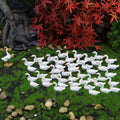 48 Pcs Mini Resin Animal Ornament Ducks Garden Decor Tiny Fairy Garden Accessories Outdoor Small Miniature Figurine for DIY Crafts Micro Landscape Aquarium Plant Pots Dollhouse Garden Decoration